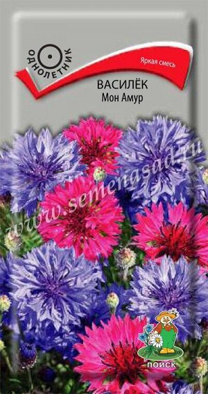 Василёк Мон Амур (ЦВ) ("1) 1гр.