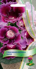 Глоксиния Импресс &quot;Парпл&quot;