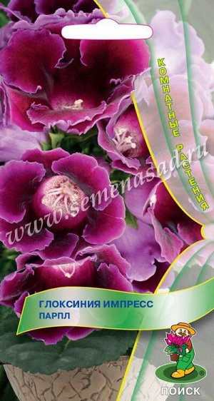 Глоксиния Импресс Парпл (ЦВ) ("К) 5шт.