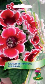 Глоксиния Импресс &quot;Ред Пикоти&quot;