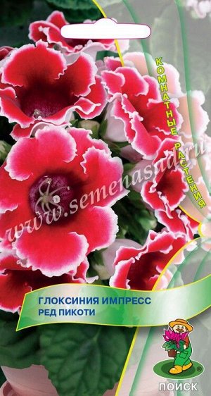 Глоксиния Импресс Ред Пикоти(ЦВ) ("К) 5шт.