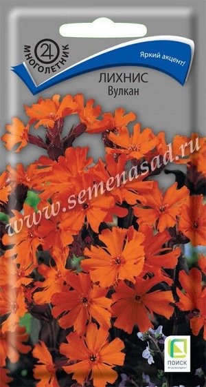 Лихнис Вулкан (ЦВ) ("М) 0,1гр.
