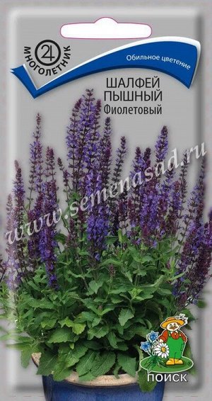 Шалфей (дубравный) пышный Фиолетовый (ЦВ) ("М)  0,1 гр