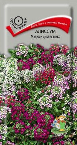 Алиссум Мэджик циклес микс (Огородное изобилие) ("1) 0,3г