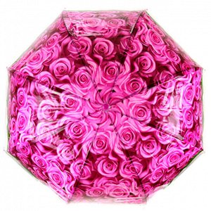 Зонт-трость полуавтомат "Розы" ПВХ, фотопечать, 8 лучей, д/купола 78см, 80см в сложенном виде, пластмассовая ручка, прозрачный, фуксия, 360гр (Китай)