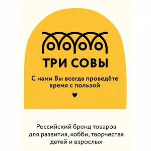 Настольная игра ТРИ СОВЫ ""Попробуй угадай"", 1 уровень сложности, с пластиковыми ободками