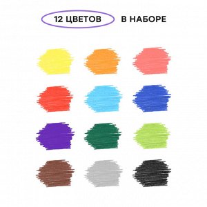 Фломастеры Гамма ""Малыш"", 12цв., утолщенные, смываемые, картон. упаковка, европодвес