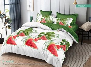 Комплект постельного белья из ПОПЛИНА 2 спальный с Европростыней