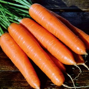 Роте Ризен Плазма морковь