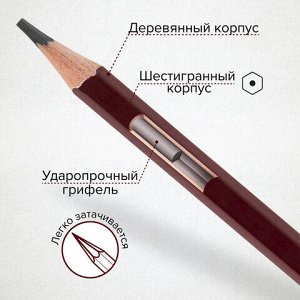 Карандаши чернографитные художественные 2H-8B, НАБОР 8 шт., В ПЕНАЛЕ, BRAUBERG ART "PREMIERE", 181894