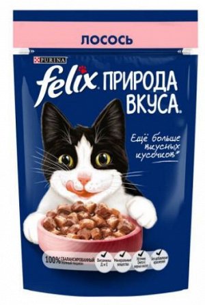 Felix (Феликс) Природа вкуса влажный корм для кошек кусочки Лосось в подливе 75 г пауч АКЦИЯ!