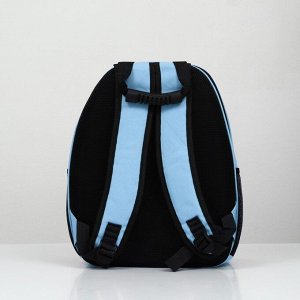 Рюкзак для переноски животных с окном для обзора, голубой