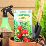 Семена. Комнатные растения