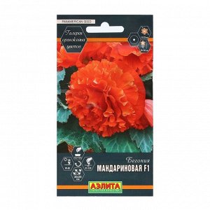 Агрофирма АЭЛИТА Семена Цветов Бегония &quot;Мандариновая&quot;, F1, пробирка, 5 шт