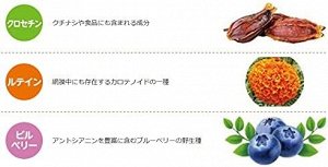 ROHTO Junior Clear Vision - экстракт черники для зрения в виде жевательных конфет