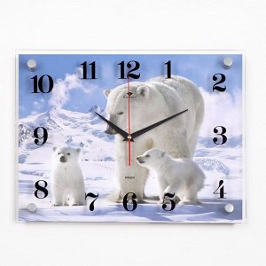 Часы настенные, серия: Животный мир, "Белые медведи", плавный ход, 30 х 40 см