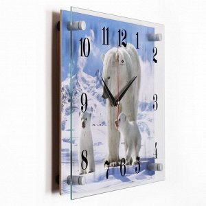 Часы настенные, серия: Животный мир, "Белые медведи", плавный ход, 30 х 40 см