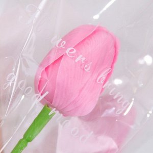Мыльный тюльпан, розовый