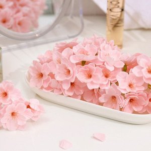Мыльный цветок сакуры, розовый