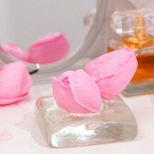 Мыльный тюльпан, розовый