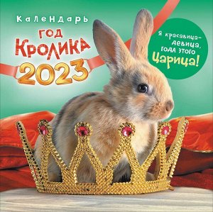 БОЛЬШОЙ перекидной настенный календарь на скрепке на 2023 год "Символ года - Кролик"