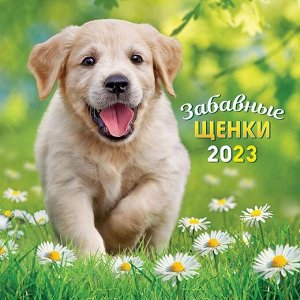 МАЛЫЙ перекидной настенный календарь на скрепке на 2023 год "Собаки"