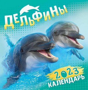 СРЕДНИЙ перекидной настенный календарь на скрепке на 2023 год "Дельфины"
