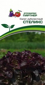 Салат дуболистный Стеликс