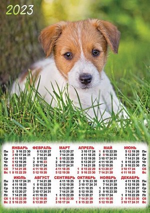 Листовой календарь на 2023 год А2 "Собаки"