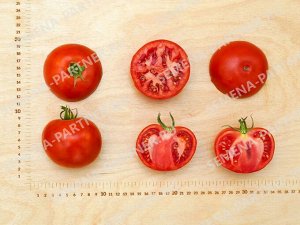 Томат Финалист F1 / Гибриды томата с массой плода 100-250 г