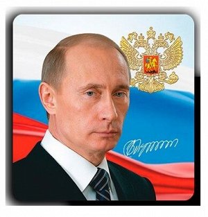 Магнит виниловый 70х100мм "Путин В.В. Подпись"