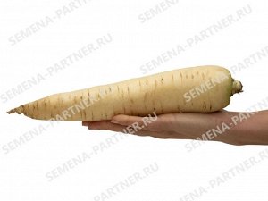 Семена Морковь Вайт Сатин F1 ^(0,5Г)