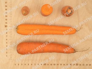 Семена Морковь Краса Севера F1 ^(0,5Г)