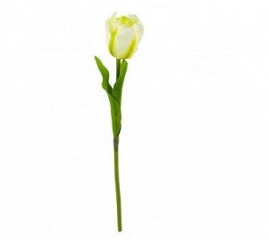 Тюльпан 41 см цвет белый KLP0150/P146-3