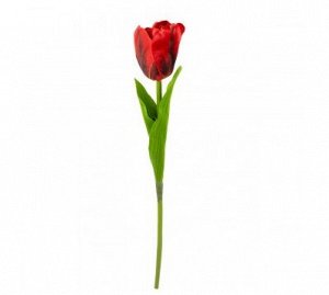 Тюльпан 41 см цвет красный KLP0150/P146-8