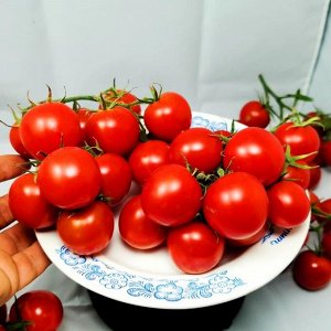 Помидоры СКАЗКА СКАЗОК