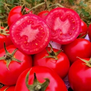 Помидоры Дикий Ангел — Muñeca Brava Tomato