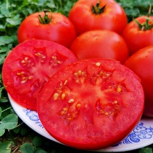Помидоры Матушка Царица — Mother Queen Tomato