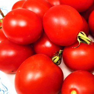 Помидоры Якутяночка Холодостойкая