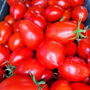 Помидоры Нова из Салерно — Pomodori Nova Di Salerno