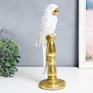 Сувенир полистоун "Белый попугай Ара на золотой жёрдочке" 33х11х11 см