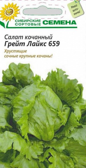 Грэйт Лайкс 659 салат кочанный 0,5 гр. (ссс)