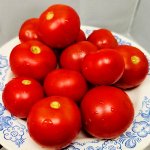 Помидоры Верблюжёнок Трудяга — Camel Hardworker Tomato