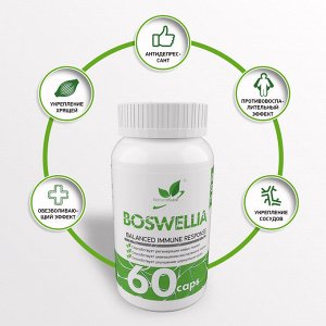 Naturalsupp Босвеллиа