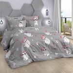 Феликс (КПБ Бязь 1,5 сп подростковая с 1 нав. 70*70)