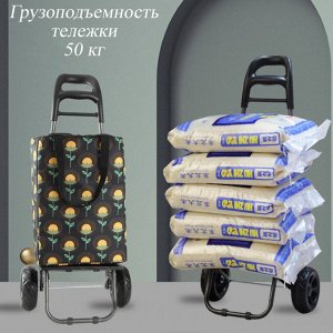 Сумка-шоппер, с тележкой, с водонепроницаемой пропиткой, застежка-молния СП-109
