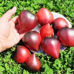 Помидоры Sgt Pepper’s — Одинокие Сердца Сержанта Пеппера