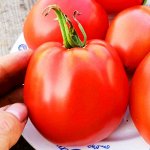 Помидоры Красавица Жигонда из Винодельни Жонкуа