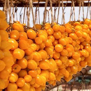 Помидоры Giagi (Yellow Piennolo del Vesuvio) — Джаджу