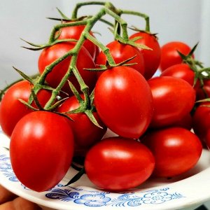 Помидоры Милашка Аннабель — Pretty Annabel Tomato